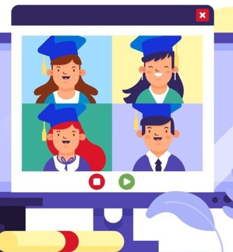 What is the difference between university degrees and professional degrees?