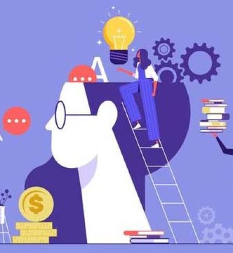 What is the difference between university degrees and professional degrees?
